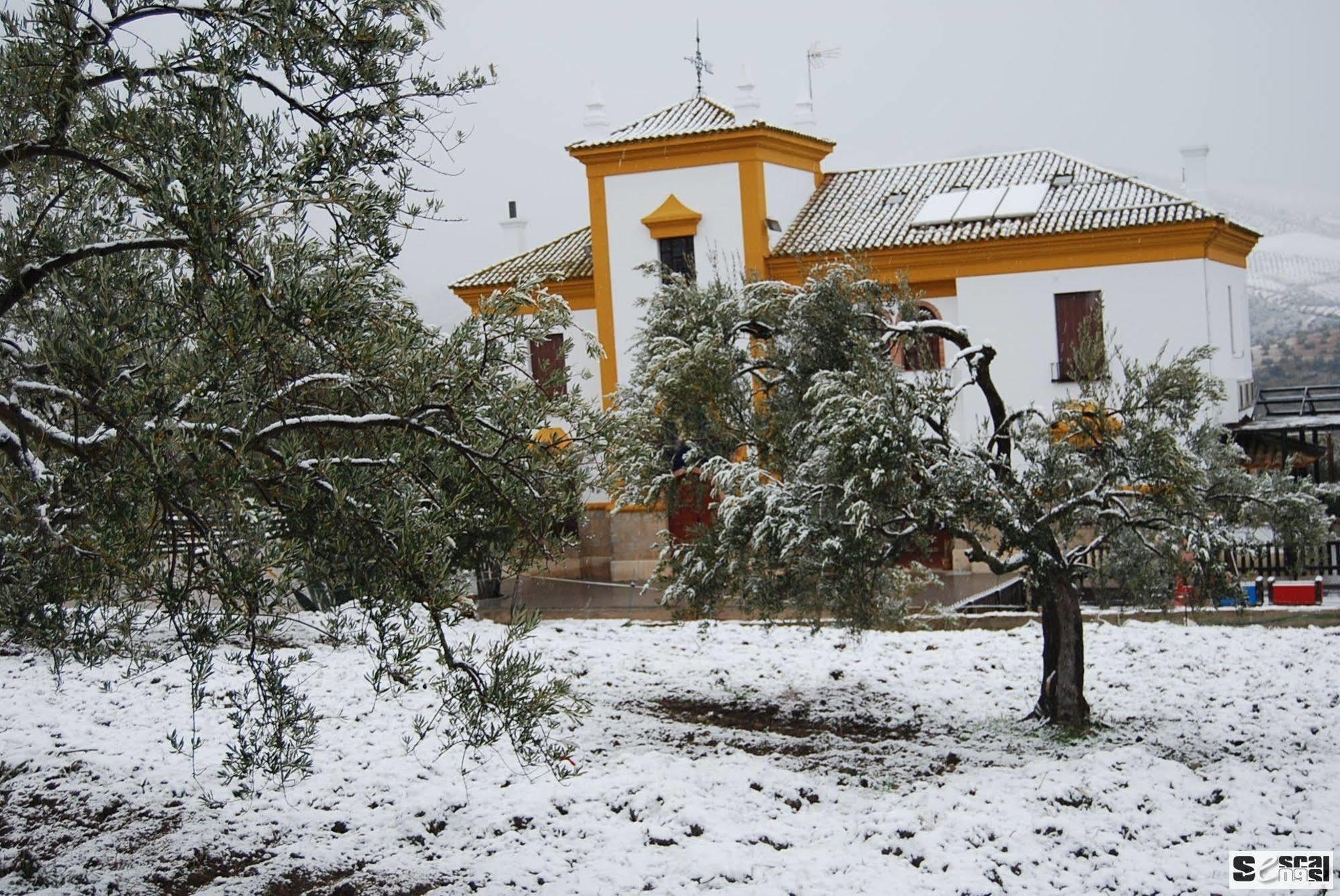 Casa Vagon Via Verde De La Sierra Olvera Buitenkant foto